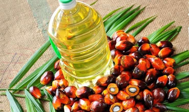 Ürək, qaraciyər, böyrək xəstəliklərinin səbəbi – Azərbaycana 41 min ton palma yağı gətirilib  