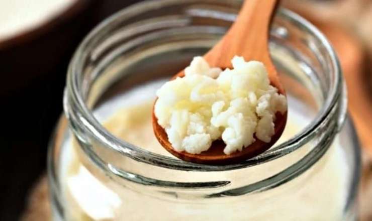 Maddələr mübadiləsini sürətləndirən qədim içki -  Xüsusilə də acqarına