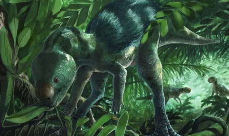 Toyuq boyda dinozavrlar - Alimlərdən yeni kəşf  