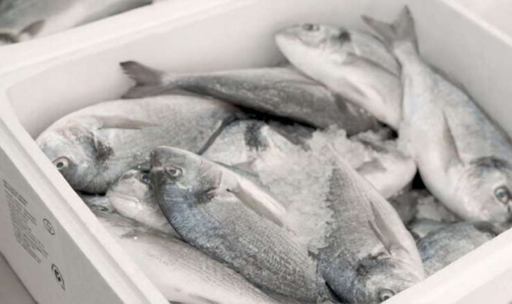 Marketlərdən balıq alarkən DİQQƏTLİ OLUN!  – VİDEO