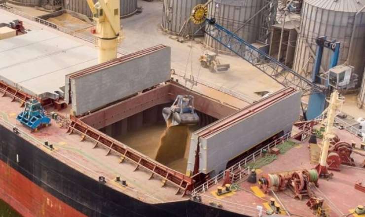 Qazaxıstan Rusiya yemlərindən imtina etdi – Sibirdə mal-qara kütləvi məhv edilir 