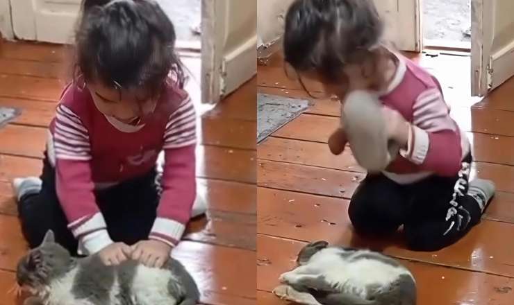 Heyvana işgəncə edən azyaşlı… –  Valideynlər harada səhv edir? - VİDEO