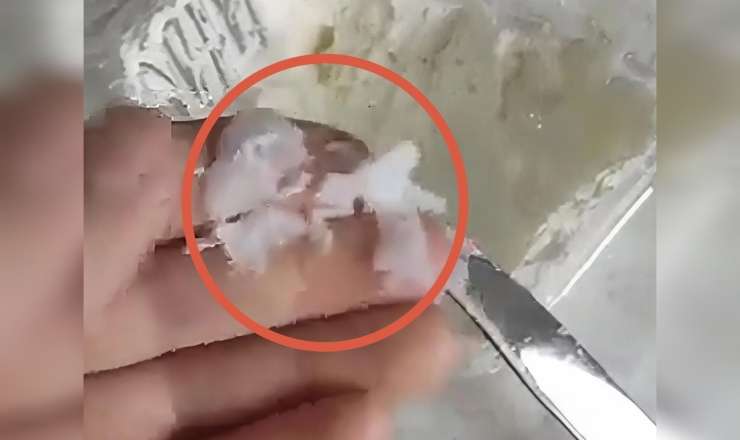 "Çinar" süd məhsullarının şorundan çıxan ağ maddə nədir? -  AÇIQLAMA/VİDEO