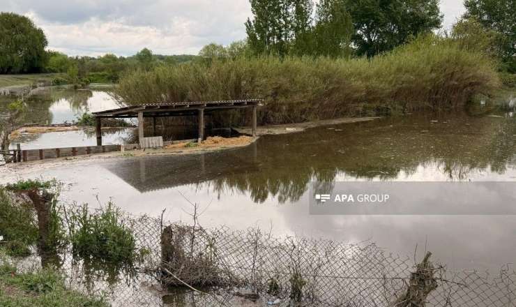 Kürün səviyyəsi artdı: Zərdabı su basdı  - FOTO