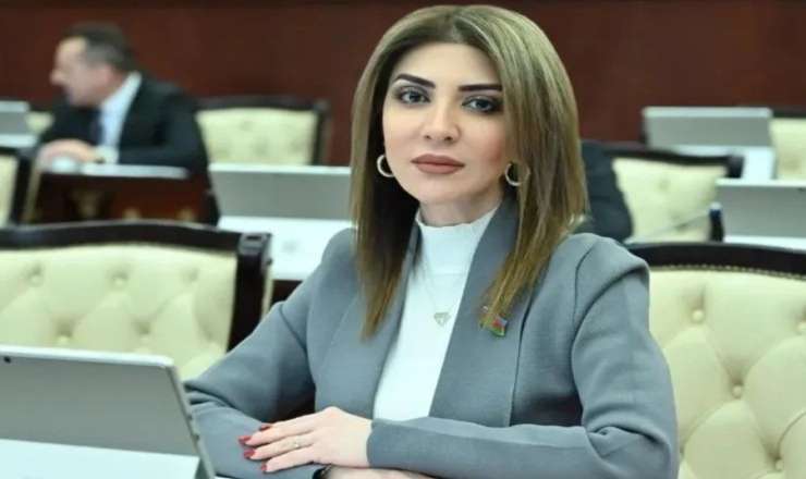 “Uşaqpulu verilsə, insanlar tənbəlləşər” – Deputatdan  qalmaqallı sözlər - VİDEO