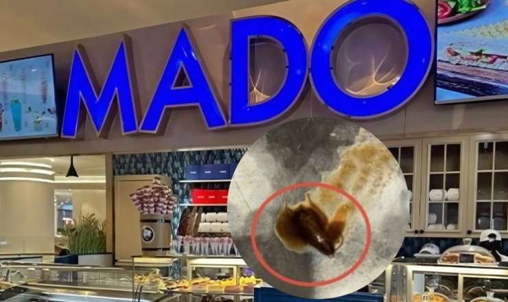 “Mado”da müştəriyə "tarakanlı" şorba verdilər - FOTO