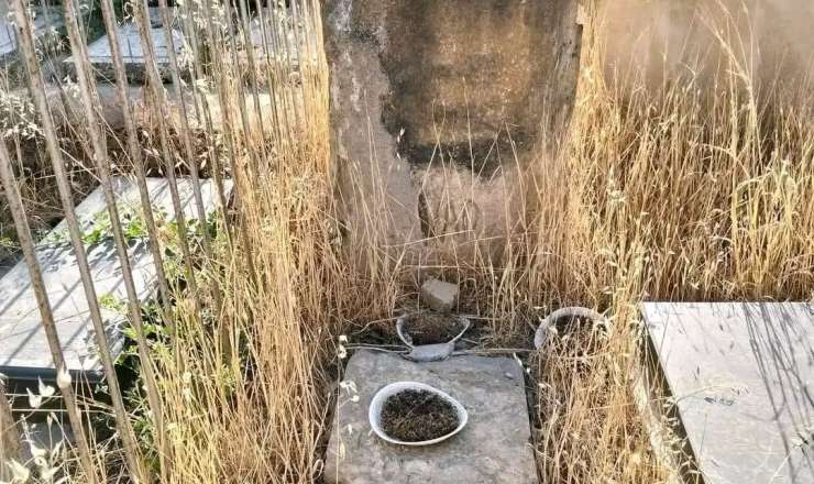 Tanınmış rəssamın məzarı acınacaqlı durumda –  Nazirlikdən açıqlama - FOTO